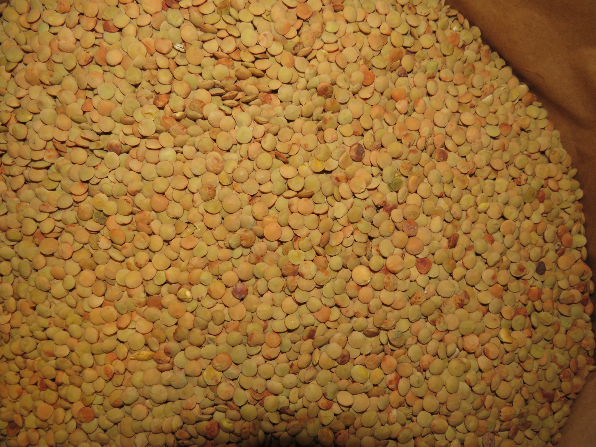 Leider noch kein Bild verf?bar